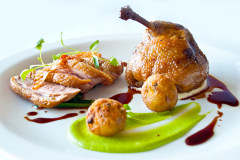 Duck Breast
